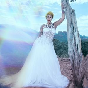 David's Bridal Tutu Skirt-not a dress